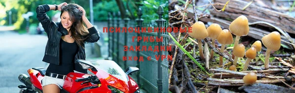 наркотики Медвежьегорск