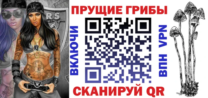 Псилоцибиновые грибы Cubensis  купить  сайты  Туймазы 