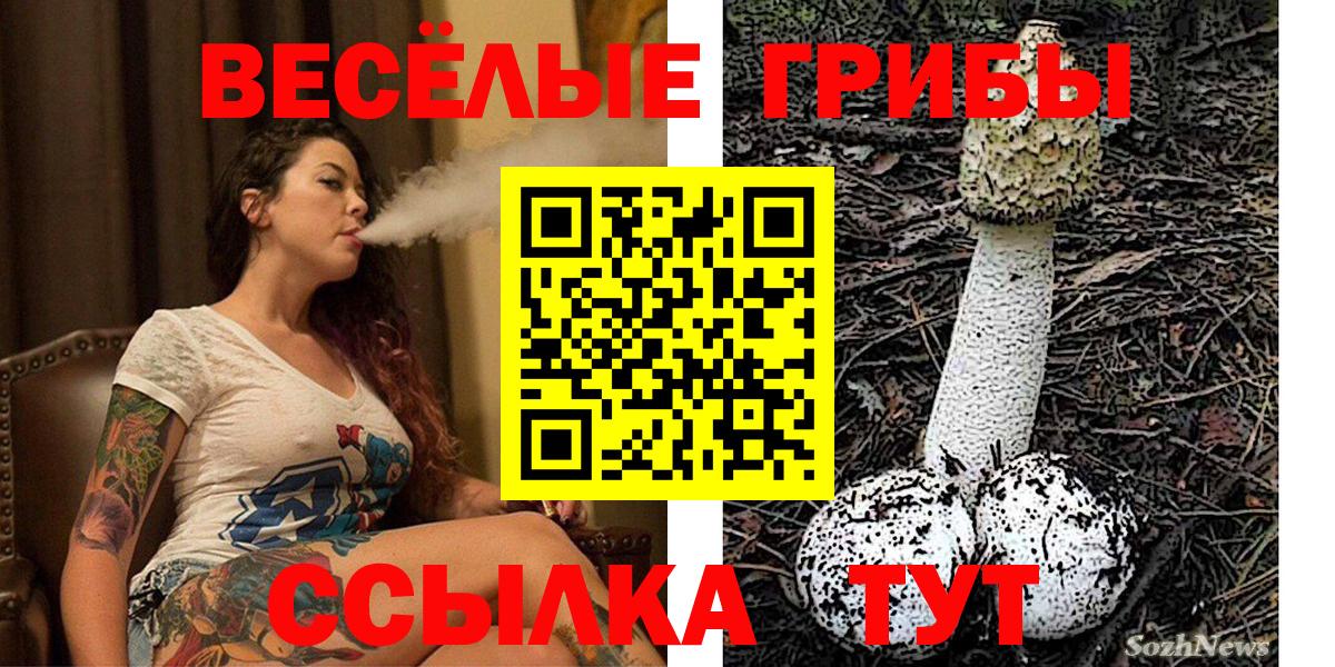 как найти наркотики  Вход с VPN  Псилоцибиновые грибы мухоморы  Туймазы  Галлюциногенные грибы мухоморы 