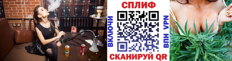 Конопля семена  где купить   мега зеркало  Туймазы 